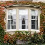 bow-window-replacement brandon fl-new bow windows for brandon florida homeowners